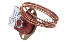 Aeg - Thermostat -  cs (nv 2 tht)     e60 - 221615